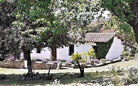 B&B I Menhir